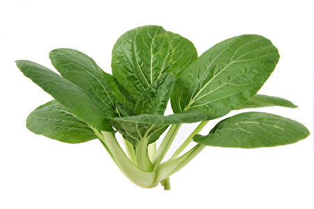 bok choy